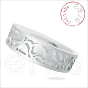 Alliance pour LUI - Spiderweb